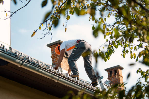 Best Local Roofing Companies  in Mcmechen, WV