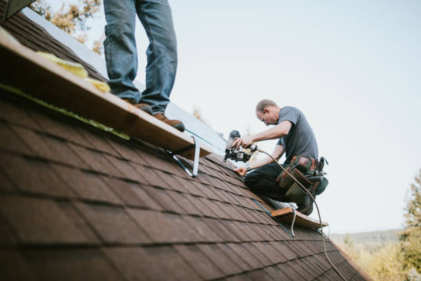 Best Roof Maintenance Services  in Mcmechen, WV